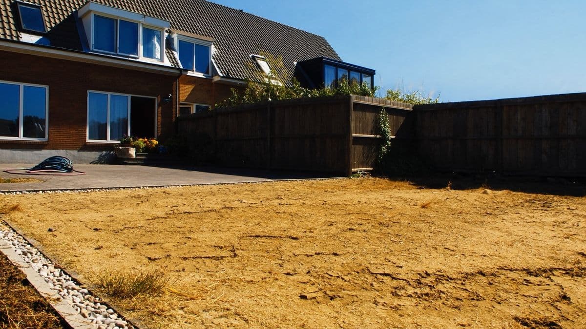 Verdorde gele gazon in een Nederlandse achtertuin met schutting en ongebruikte tuinslang op een hete zomerdag